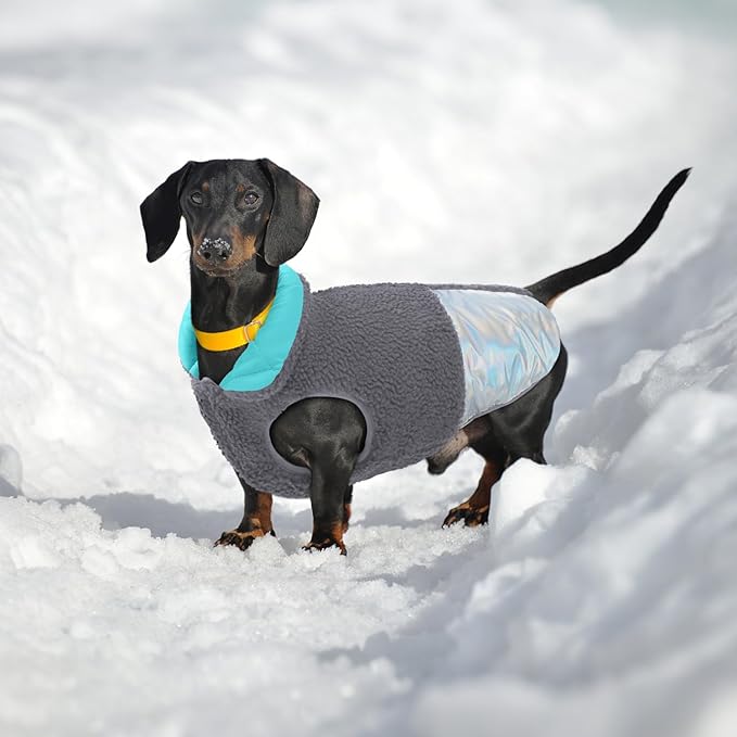 EMUST Dog Snow Jacket, Sweater for Dogs, Windproof Waterproof Fleece Lining Extra Warm Coats for Dogs, Grey, M