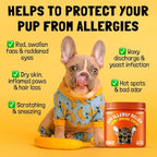 Allergy Relief Chews for Dogs & Immune & Digestive Supplement with Wild Salmon Oil Kelp Colostrum Turmeric Probiotics & Bee Pollen for Seasonal Allergies Anti Itch, Skin Hot Spots 120 Soft Treats