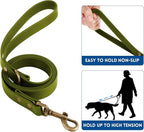 Wisedog Dog Collar and Leash Set, Waterproof Adjustable Puppy Collars with Cute Tag 6FT Dog Leash with Poop Bag for Small Medium Large Dogs (S, Green)