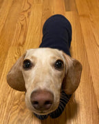 Gooby Fleece Vest Dog Sweater - Navy, X-Small - Warm Pullover Fleece Dog Jacket with O-Ring Leash for Small to Medium Dogs