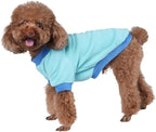 GreenJoy Classic Fleece Dog Sweater – Soft & Warm Stretchy Sweatshirt for Small Dogs & Cats, Cold-Weather Pullover for Everyday Wear (Light Blue, Large)