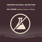 Wellness CORE Senior Dry Dog Food, Grain-Free, High Protein, Natural, Age Advantage Turkey & Chicken Recipe, (24-Pound Bag)