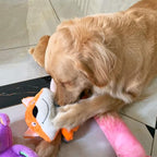 Jalousie 5 Pack Plush Toys Assortment Value Bundle Puppy Pet Mutt Squeak Toy for Medium Large Dogs (5 Pack Premium Corduroy) (1 Pack Large Plush Fox)