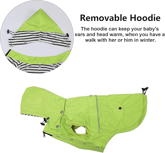 Dog Raincoat Waterproof Raincoats Dog rain Jacket Buttons Zipper Hood Drawstring Suitable for Small Medium Yorkie Terrier Schnauzer Poodle Border Collie Labrador 8lbs to 80lbs Green XS
