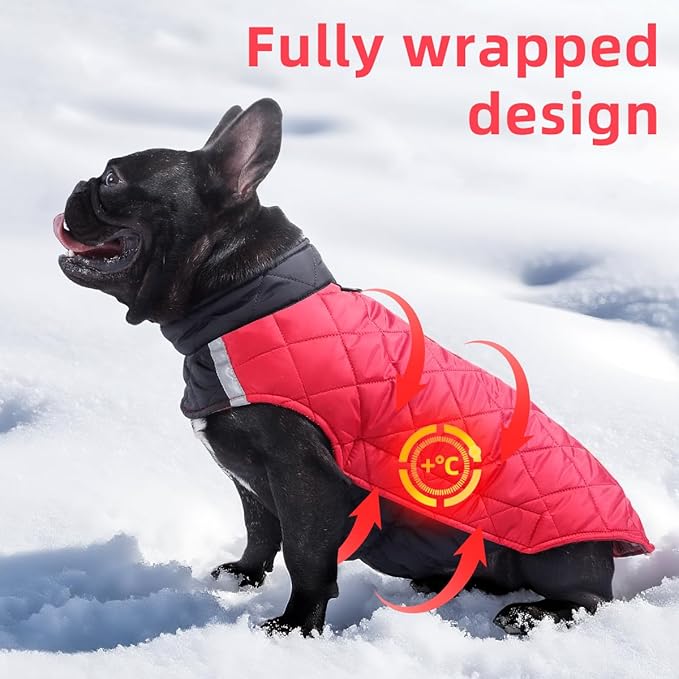Reversible Waterproof Dog Coat - Adjustable Winter Jacket for Small to Large Breeds, Warm Cold Weather Apparel for Medium Dogs (Red & Black, Large (Pack of 1))