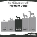 Barkbox Super Chewer Rad Herring Hard Core Toy with Rip Away Plush for Aggressive Chewers, Medium