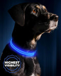 ILLUMISEEN LED Dog Collar USB Rechargeable - Bright & High Visibility Lighted Glow Collar for Pet Night Walking - Weatherproof, in 6 Colors & 6 Sizes (Blue Large)