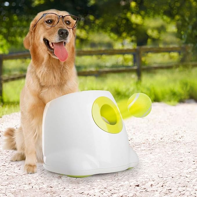 ALL FOR PAWS Interactive Super Bounce Tennis Balls Dog Toy, Pet Safe Toys for Exercise and Training, 2.5 Inch Diameter (6 Pack)