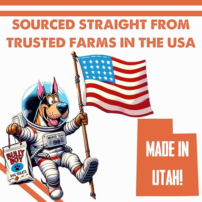 Bully Boy's Famous Chicken Training Nibs Dog Treats | Free from Wheat, Corn, Soy, or Gluten | USA Sourced Ingredients | with Smokehouse Chicken | Made in Utah | 7 oz - 2 Pack