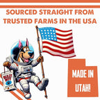 Bully Boy's Famous Chicken Training Nibs Dog Treats | Free from Wheat, Corn, Soy, or Gluten | USA Sourced Ingredients | with Smokehouse Chicken | Made in Utah | 7 oz - 2 Pack
