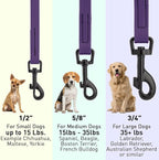 Dogline Biothane Waterproof Dog Leash Strong Coated Nylon Webbing with Black Hardware Odor-Proof Easy to Clean High Performance for Small or Large Dogs Made in USA 4 or 6 ft Lead, Violet Purple