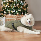 EMUST Dog Winter Coat, Thick Windproof Pet Jacket Winter, Pet Dog Vest for Small/Medium/Large, Green, XXL