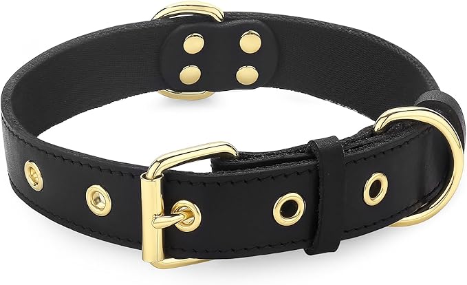 Dog Collar, Leather Dog Collar with Adjustable Sturdy Metal Buckle,Heavy Duty Dog Collar for Walking, Hiking, Training, Hunting (Black,M:16.2"-22" Neck)