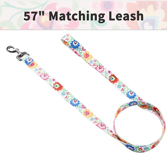 Ihoming Dog Collar and Leash Set for Daily Outdoor Walking Running Training, White Colorful Flowers Design for Small Boys Girls Dogs Cats Pets, S-Up to 20LBS