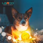 LaRoo LED Dog Ball, Silicon Glowing Dog Toy Ball at Night with USB Rechargeable, Water Resistant Light Up Interactive Dog Tennis Balls for Outdoor Playing