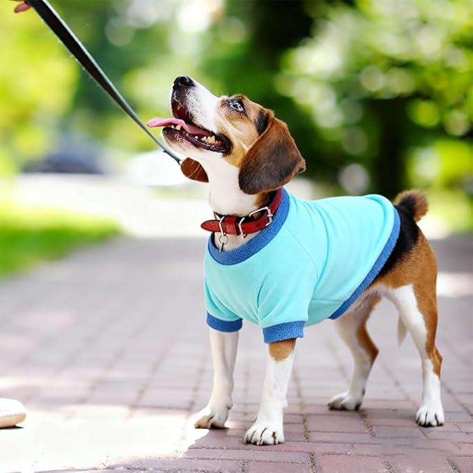 GreenJoy Classic Fleece Dog Sweater – Soft & Warm Stretchy Sweatshirt for Small Dogs & Cats, Cold-Weather Pullover for Everyday Wear (Light Blue, X-Small)