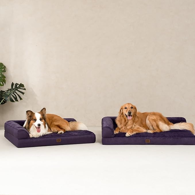 EHEYCIGA Memory Foam Dog Bed Large Sized Dogs, Pet Bed for Large Dog for Crate with Waterproof Liner, Pet Couch Bed Orthopedic with Washable Removable Cover, 35x23x6 Inches, Purple