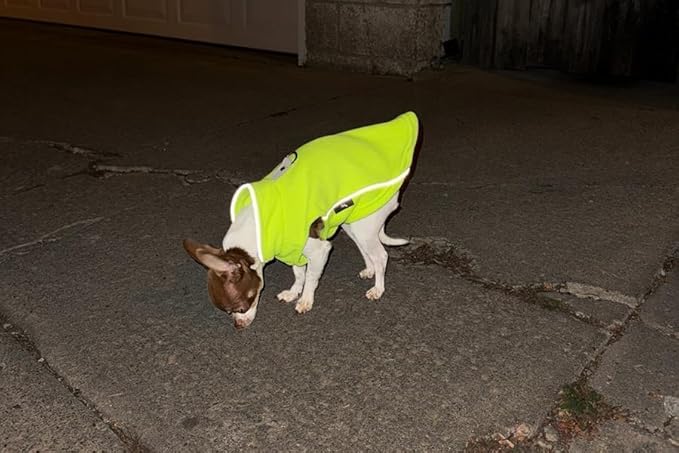 JACKO & CO - Fleece Vest Dog Sweater with Leash Ring - Soft, Warm & Lightweight Pullover Coat for Small & Medium Dogs, Puppies & Cats - Cozy Fall/Winter/Spring Pet Jacket (Lime Green, XXL 25-35lbs)