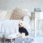 Mihachi Turtleneck Dog Sweater - Winter Coat Apparel Classic Cable Knit Clothes with Leash Hole for Cold Weather, Ideal Gift for Pet in New Year X-Small