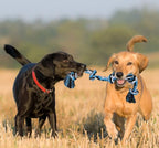 Bmag Heavy Duty Dog Rope Toy for Aggressive Chewers, Medium Large Dogs, Tough Twisted Rope with 5 Knots