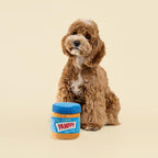 CHEWFFON Interactive Dog Enrichment Toy, Cute Crinkle&Snuffle Puppy Toys, Hide & Seek Puzzles, Peanut Butter Jar Toys for Brain Stimulation, for All Dog Sizes
