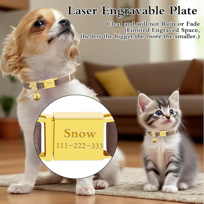 Personalized Breakaway Cat Collars - Magnetic Buckle, Bell - Safety Quick Release, Customized for Girls & Boys Cats- (Velvet-Chocolate)