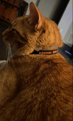 shangye Personalized Cat Collar, Custom Embroidered Cat Collars with with Name and Phone Number, Nylon ID Collar for Cat or Kitten with Breakaway Safety Release Buckle with Bell
