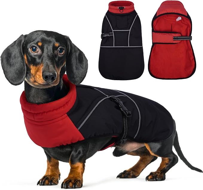 Lelepet Dachshund Coat Warm Dog Winter Coat Waterproof Dog Jacket with Fleece Lining, Reflective Outdoor Dachshund Snowsuit with Leash Hole Adjustable Neckline,Coats for Small Medium Dogs,Red, XS