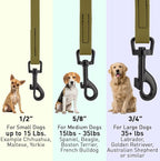 Dogline Biothane Waterproof Dog Leash Strong Coated Nylon Webbing with Black Hardware Odor-Proof Easy to Clean High Performance for Small or Large Dogs Made in USA 4 or 6 ft Lead, Olive Drab Green