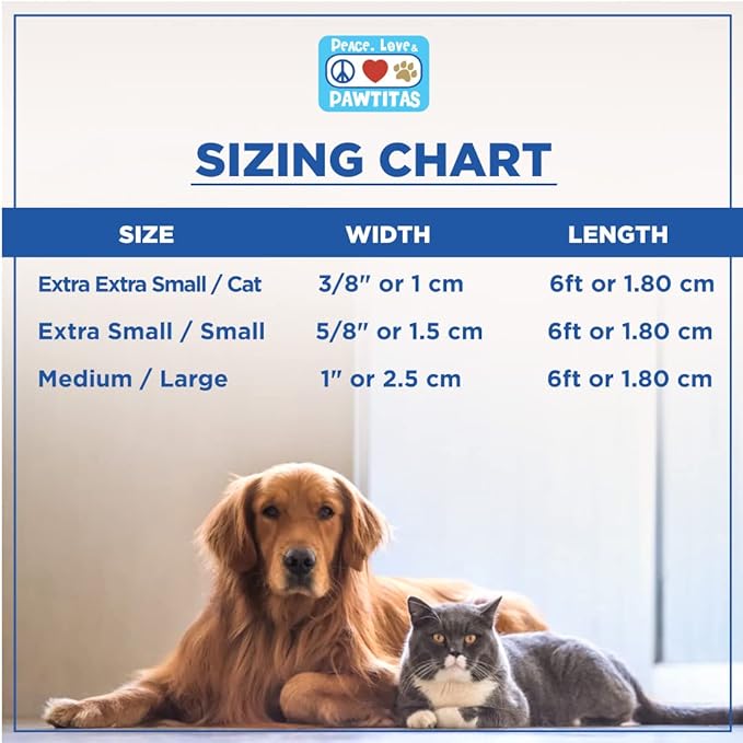 Pawtitas 6 FT Comfortable Leash - Solid Color, Extra Small to Small Sizes, Orange, Ideal for Puppy Training