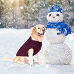 BINGPET Thermal Knitted Dog Sweater, Winter Dog Cat Coat, Warm Sweater for Small Medium Large Dogs, Classic Cable Knit Turtleneck Pullover, Purple, Large, 100% Acrylic, Machine Wash