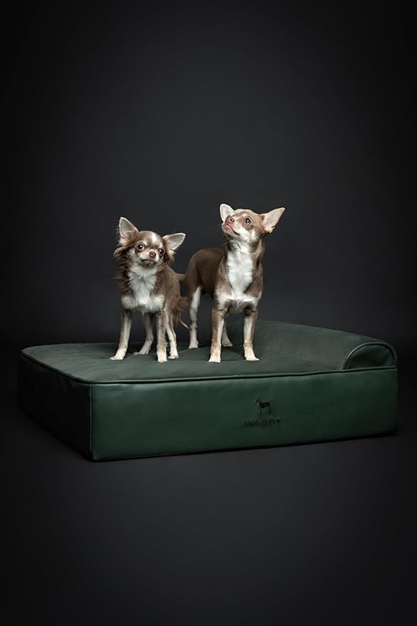 NOAH & PAW Dog Bed, 28x23x7.5 Inch, Orthopedic Dog Beds for Medium Size Pets, Eggshell Memory Foam Infused with Cooling Gel, Waterproof, Machine Washable, Includes Inner Cover (Faux Leather)