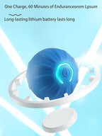 Winb Interactive LED Dog Ball （2 inch）- USB Rechargeable Motion-Activated Rolling Toy for Small Dogs, Dogs Ball Play and Wicked Fun