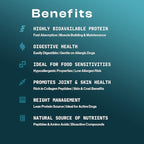 MDRNpup® Unique Dog Treats, Human Grade and All-Natural, Only Four Ingredients, High Protein - Amino Acids, Nothing Artificial, Soft Baked in The USA (13.2 Ounce, Chicken Peptide)