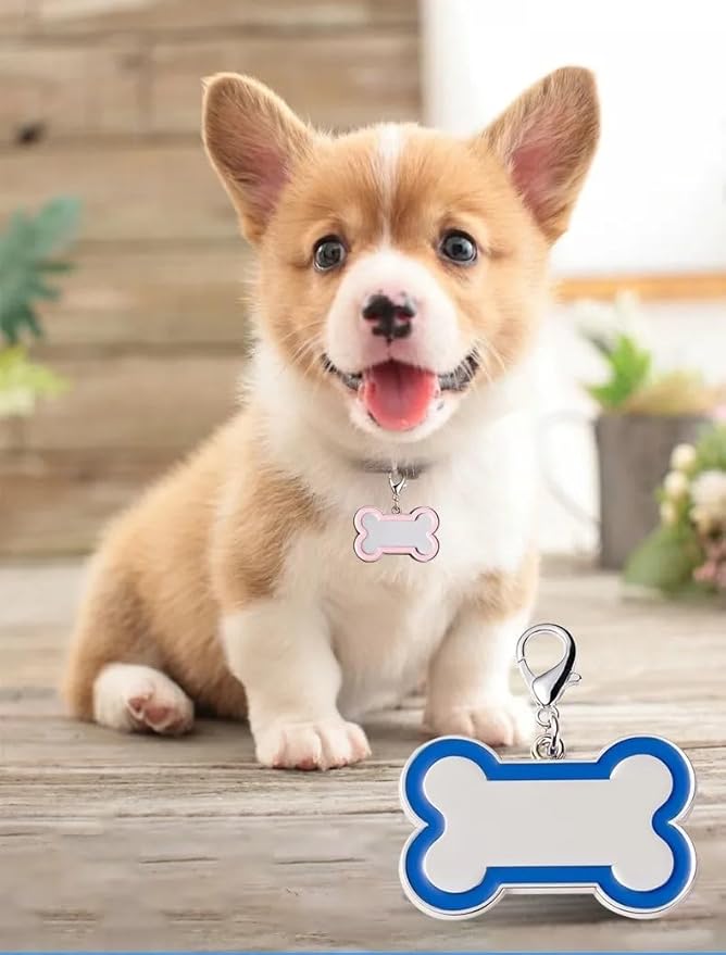 Personalized Dog ID Tags - Laser Engraved, Bone-Shaped, Large: Orange