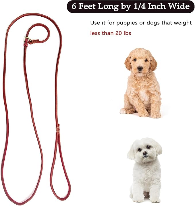 Guiding Star Leather Slip Lead Dog Leash for Small Dogs & Puppies 6 Ft x 1/4 Inch,Luxurious and Lightweight Leather Training Dog Leash for Walking with Soft Handle (Red)