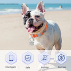 Dog Tags Personalized for Pets,Dog Name Tags QR Code,No Subscription Fees,Modifiable Pet Online Profile,Stainless Steel,No App Required,for Dogs and Cats Small,Medium,Large(Flower,Small)