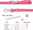 Wild One Dog Collar, Easy-Clean, All Weather Flex-Poly Strap with Metal, Durable, Dirt and Odor Resistant (Cosmopolitan, XL)
