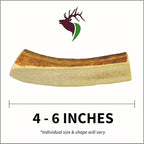 Small Split Twin Pack (for 0-20 lb Dogs and Puppies) Premium Grade Elk Antlers for Dogs (2 Pieces) Sourced in The USA