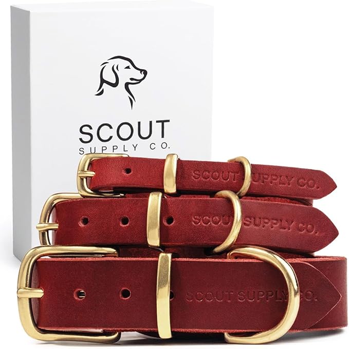 Classic Genuine Leather Dog Collar | Dog Collars for Medium Dogs, Small Dogs, Large Dogs & Extra Large Dog | Wide Dog Collar | Heavy Duty Collar (Red, XX Large)