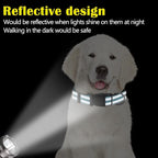 Sanwuta 12 Pcs Reflective Puppy Dog Collars Bulk for Litter Dogs Adjustable Safety Nylon Collars with Locking Buckle Soft Padded Breathable Puppy Collar for Cats Pets(Small)