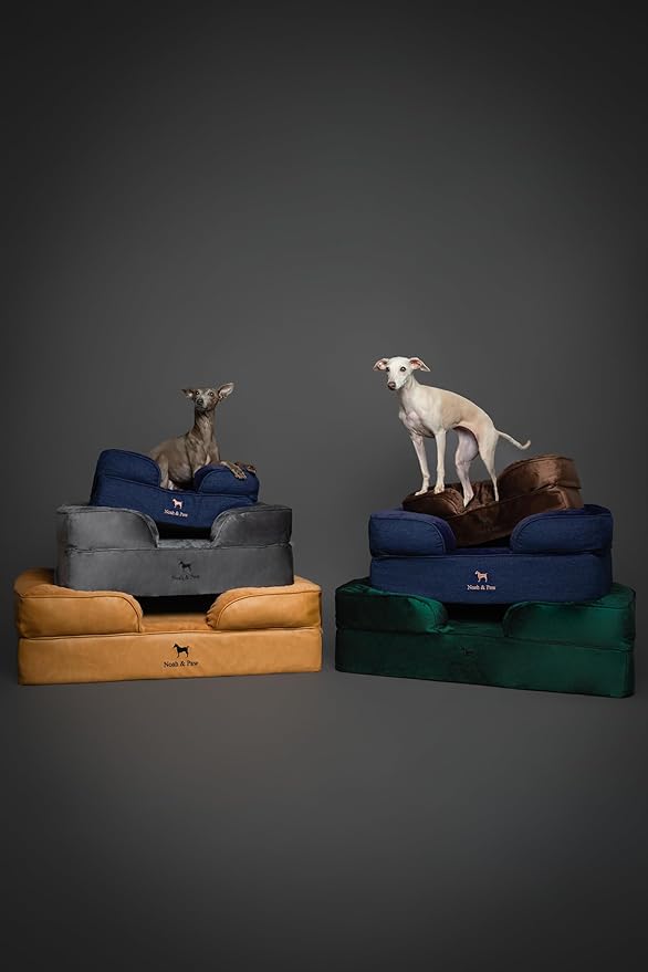 NOAH & PAW XL Dog Bed, 45x35x9.1 Inch, Orthopedic Large Dog Beds, Eggshell Memory Foam Infused with Cooling Gel, Waterproof, Machine Washable, Includes Inner Cover (Denim Collection)