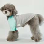 Dog Shirt for Small and Large Dogs Raglan Cotton T-Shirts Soft Breathable Dog Shirts pet Clothes Gray Series (X-Small, Gray/Mint)
