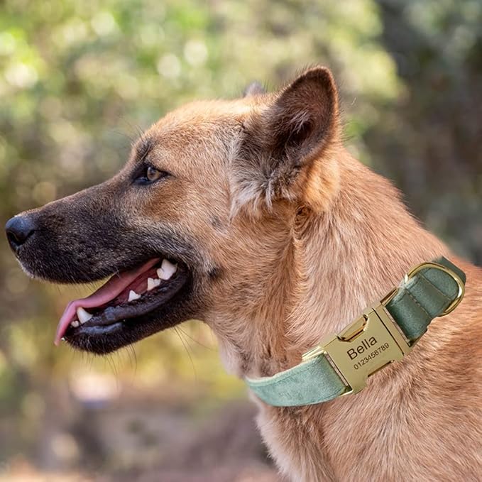 Dog Collar Custom Personalized Engraved Name and Phone Number for Puppy Small Medium Large Pets (S, Fruit Green)