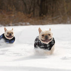 Weewooday 4 Pieces Winter Fabric Dog Sweaters with Leash Ring Soft Fleece Vest Pullover Pet Jacket Warm Dog Clothes Coats for Pet Puppy Cats Chihuahua(XXL(Neck:16.5-17.7” Chest:22.8-23.6”))