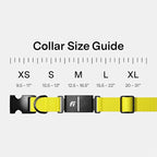 New Fi Series 3+ Smart Dog Tracker Collar – AI GPS for Dogs, Health & Behavior Monitor, Virtual Fence, Escape Alerts, Waterproof, Apple Watch Compatible 12Mo Membership Included