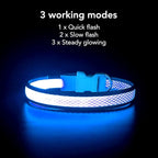 YFbrite Light up Dog Collar, USB Rechargeable LED Puppy Collar Super Bright Adjustable Glowing Dog Lights for Night Walking (Blue, Medium)