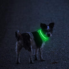 MASBRILL LED Dog Collar - Light Up Dog Collars Rechargeable - Waterproof Night Walking Glowing Dog Collar for Small, Medium, Large Dogs