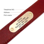 Didog Genuine Leather Dog Collars with Engraved Nameplate, Personalized Soft Leather Dog Collar with Custom ID Tag, Brown/Green/Red for Small Dogs (M,Red)