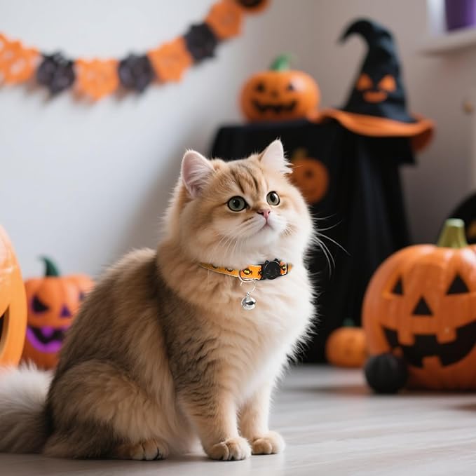 Halloween Cat Collar with Bell, Adjustable Comfortable Kitten Halloween Collar Breakaway, Spider Patterns Safety Holiday Cat Collars for Boys Girls,Kitten,Puppy Orange (7.5"-12.5")